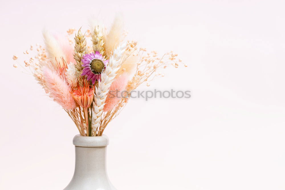 Similar – Watering can with garden flowers