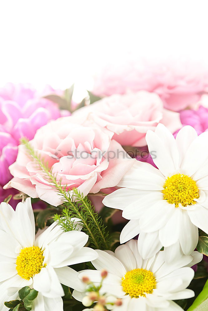 Similar – Flowers with bows on white wooden table