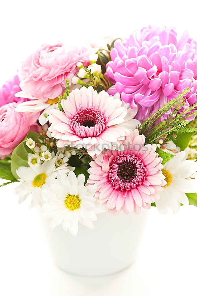 Similar – Image, Stock Photo A measure of flowers