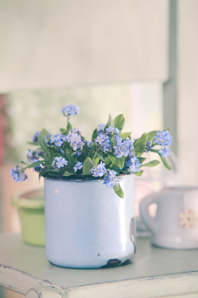 Similar – Watering can with flowers