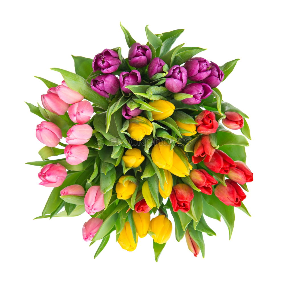 Similar – Foto Bild Tulpen ohne Ende Blume