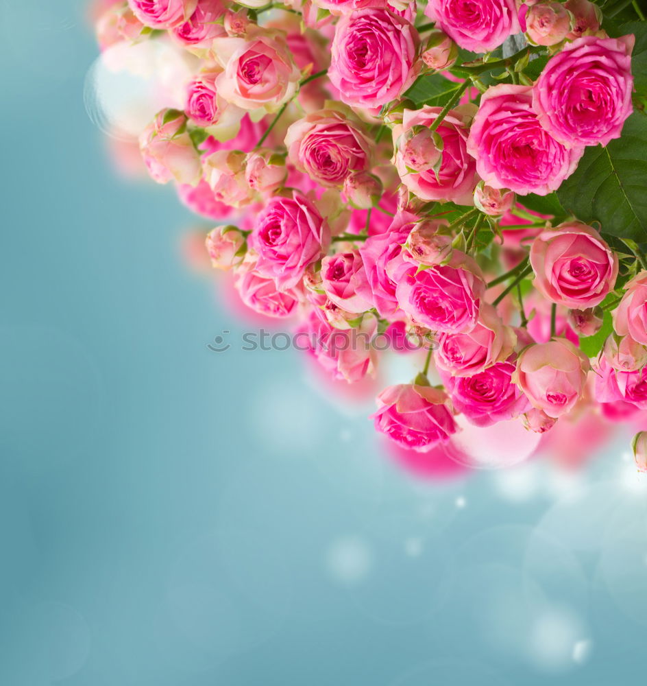 Similar – Pink cup with flying flowers