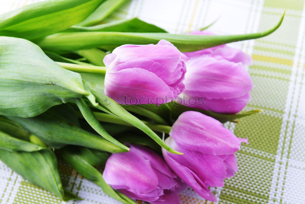 Similar – Image, Stock Photo love of flowers Plant