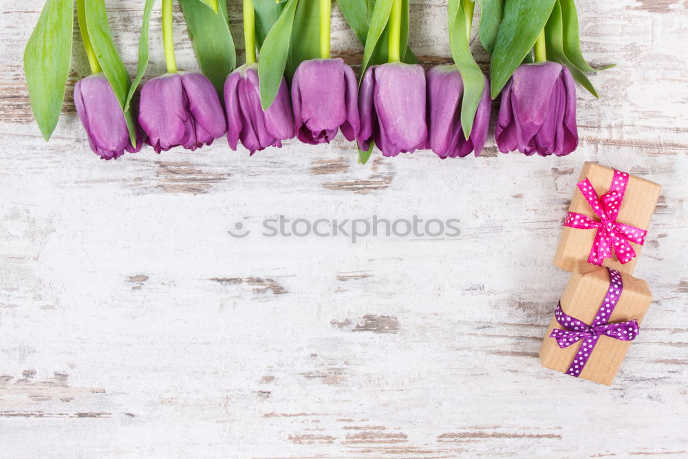 Similar – Gardening with flowers and shovel