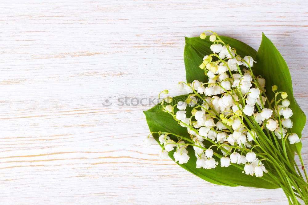 Similar – Image, Stock Photo bouquet of white flowering lilies of the valley