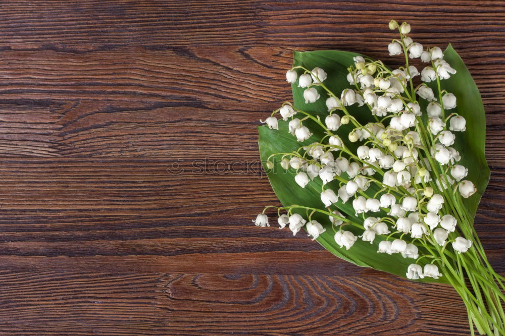 Similar – Image, Stock Photo bouquet of white flowering lilies of the valley