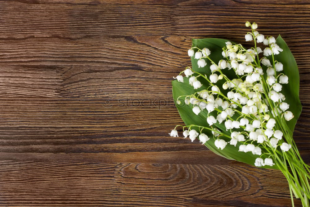 Similar – bouquet of white lilies of the valley