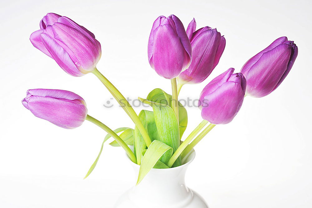 Similar – Image, Stock Photo sunday flowers Elegant