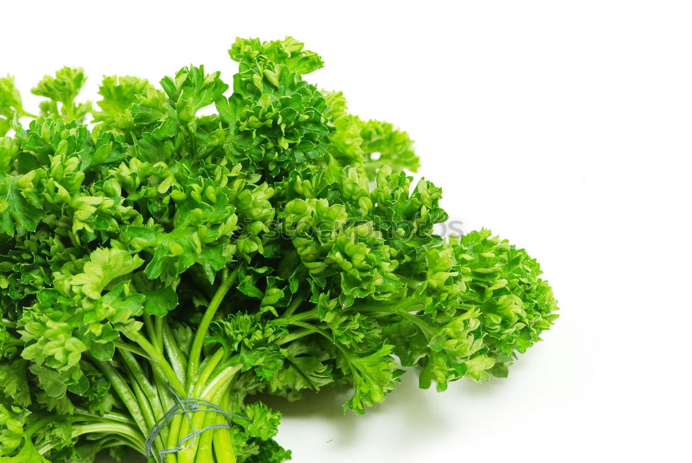 Similar – Image, Stock Photo parsley Parsley