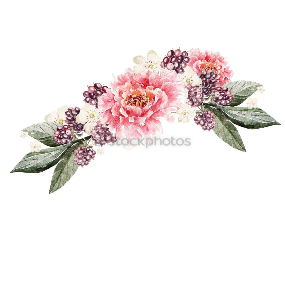 Similar – Image, Stock Photo Pastel pink flowers layout