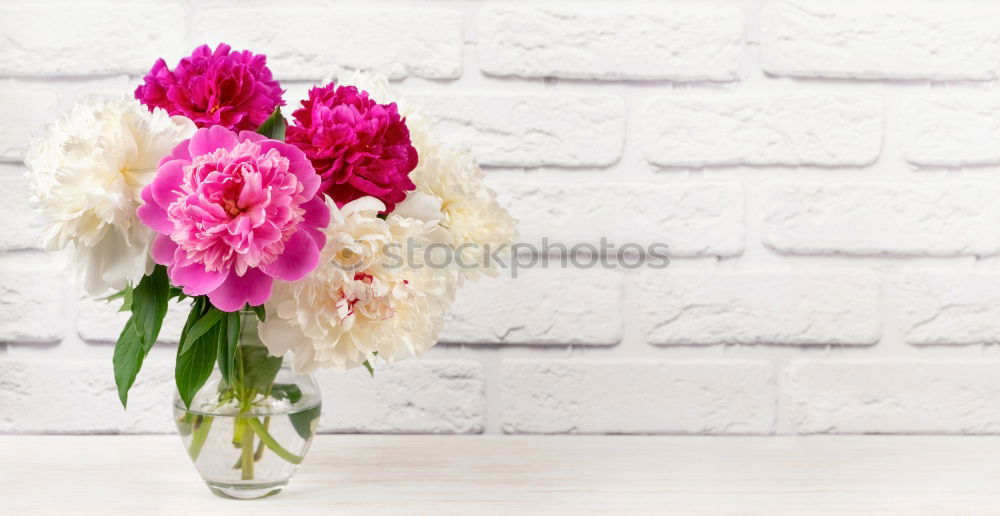 Similar – Image, Stock Photo Hyacinth on light wood background