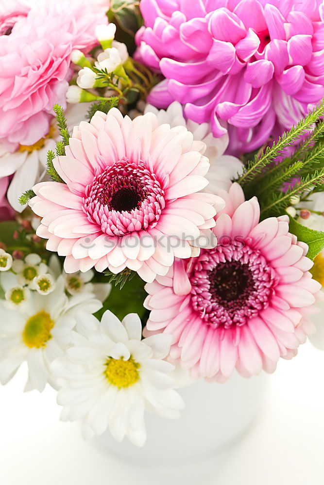 Similar – Image, Stock Photo A measure of flowers