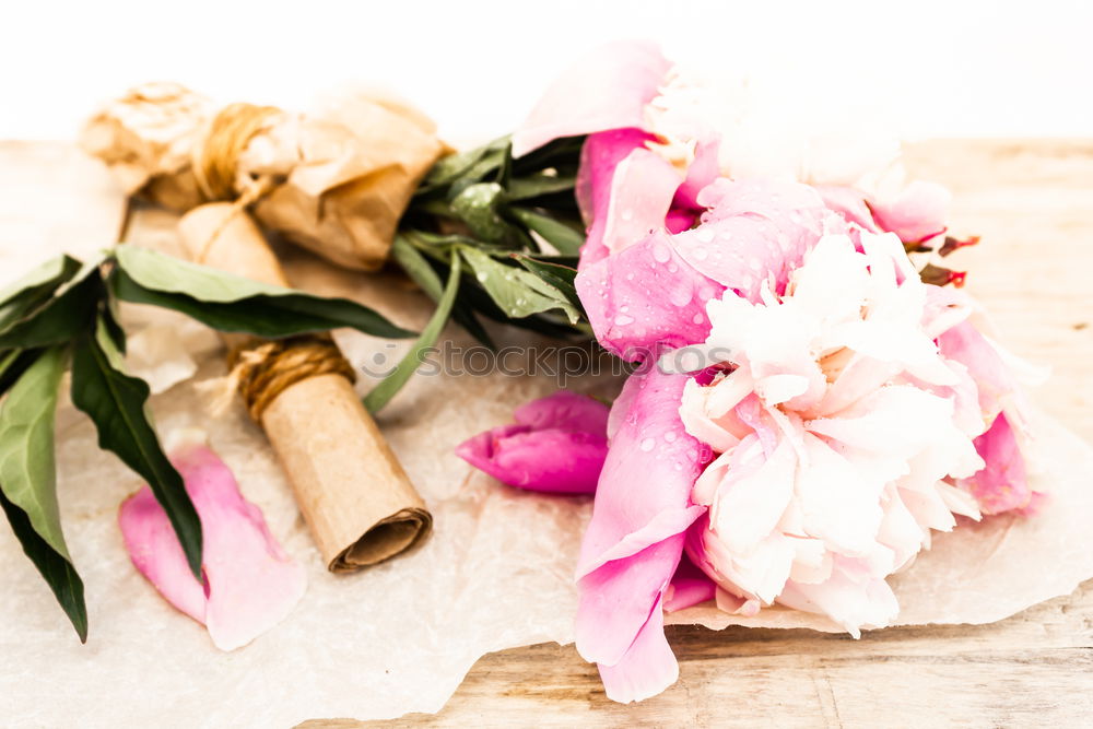 Similar – Image, Stock Photo Garden tools with watering can and flowers