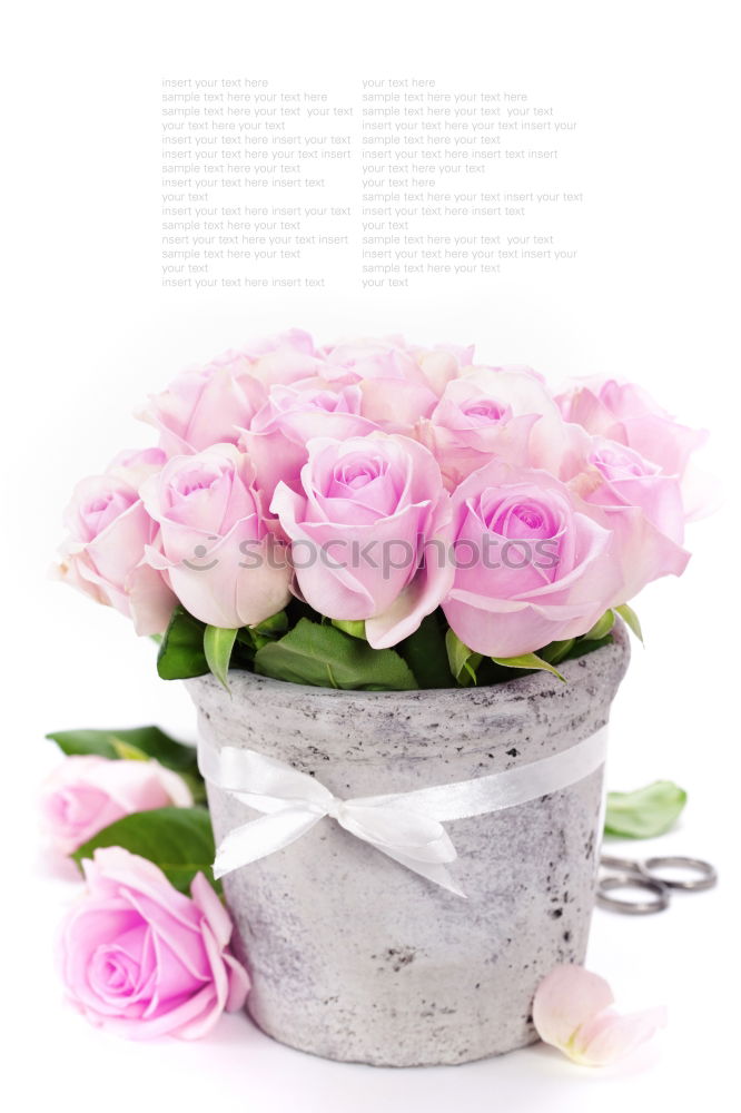 Similar – Image, Stock Photo Pastel pink still life with flowers and greeting card