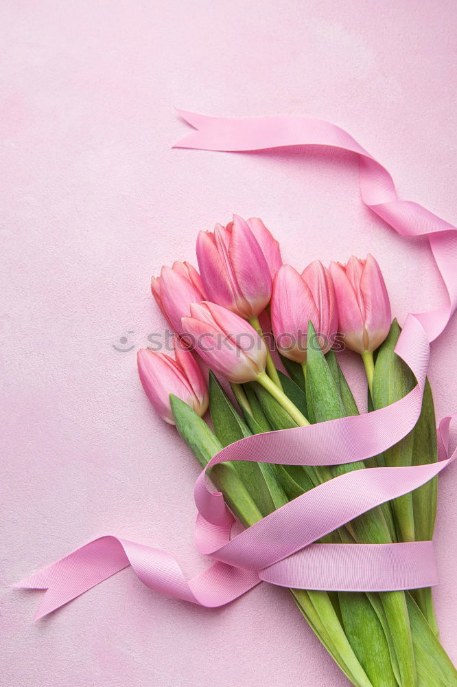 Similar – Image, Stock Photo Mother’s Day Flower