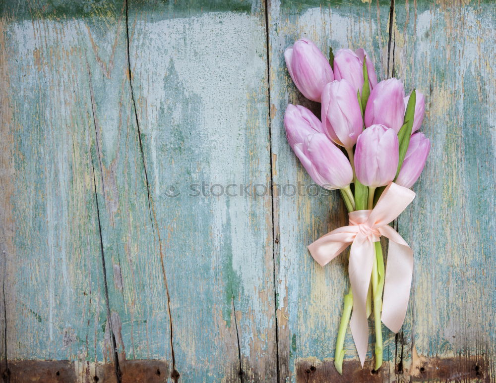 Similar – Image, Stock Photo tulip Snowboard