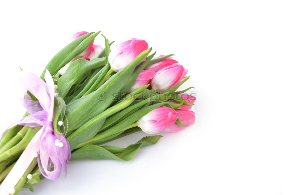 Similar – Tulips Bouquet of flowers