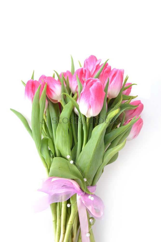 Similar – Tulips Bouquet of flowers