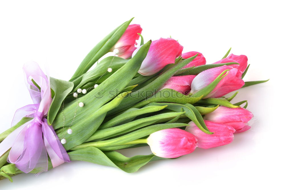 Similar – Tulips Bouquet of flowers