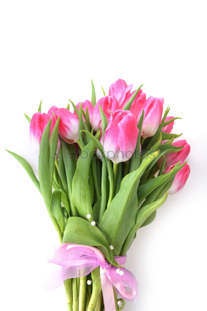 Similar – Tulips Bouquet of flowers