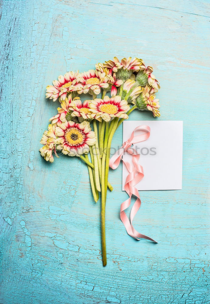 Similar – Image, Stock Photo Yellow pink roses with leaves on light blue background