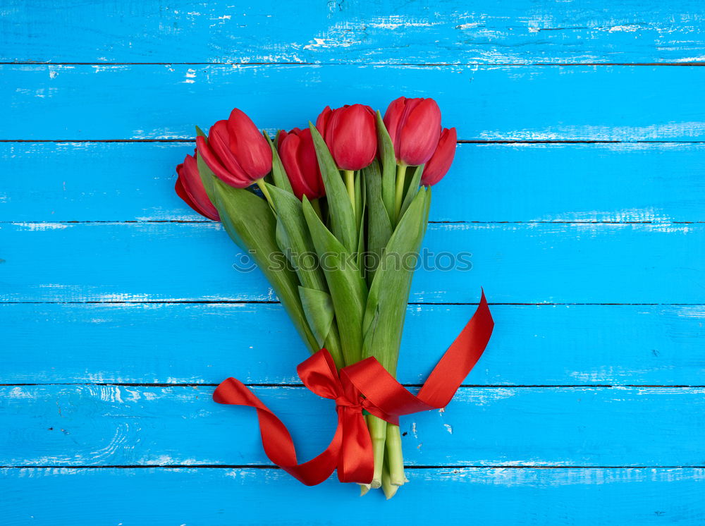 Similar – Image, Stock Photo Tulips Bouquet of flowers