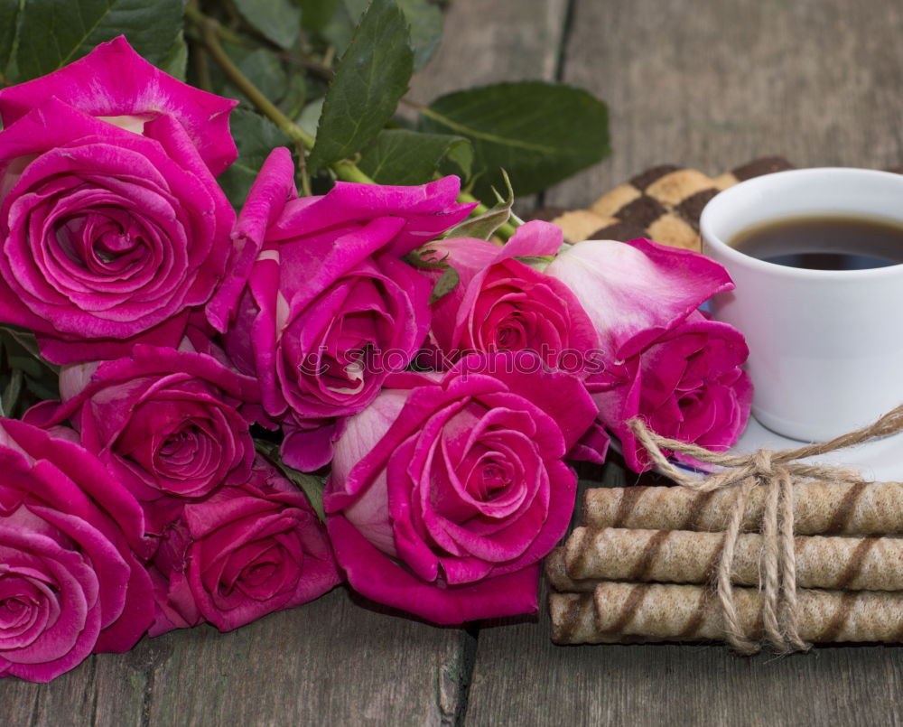 Similar – Image, Stock Photo bouquet of irises and a cup of coffee