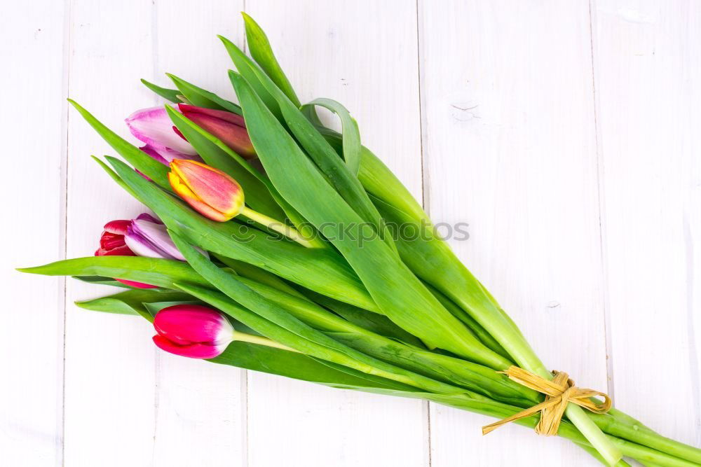 Similar – Tulips Bouquet of flowers