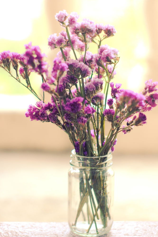 Similar – Foto Bild helle Hortensie in Vase mit Wasser auf blauer Tischdecke