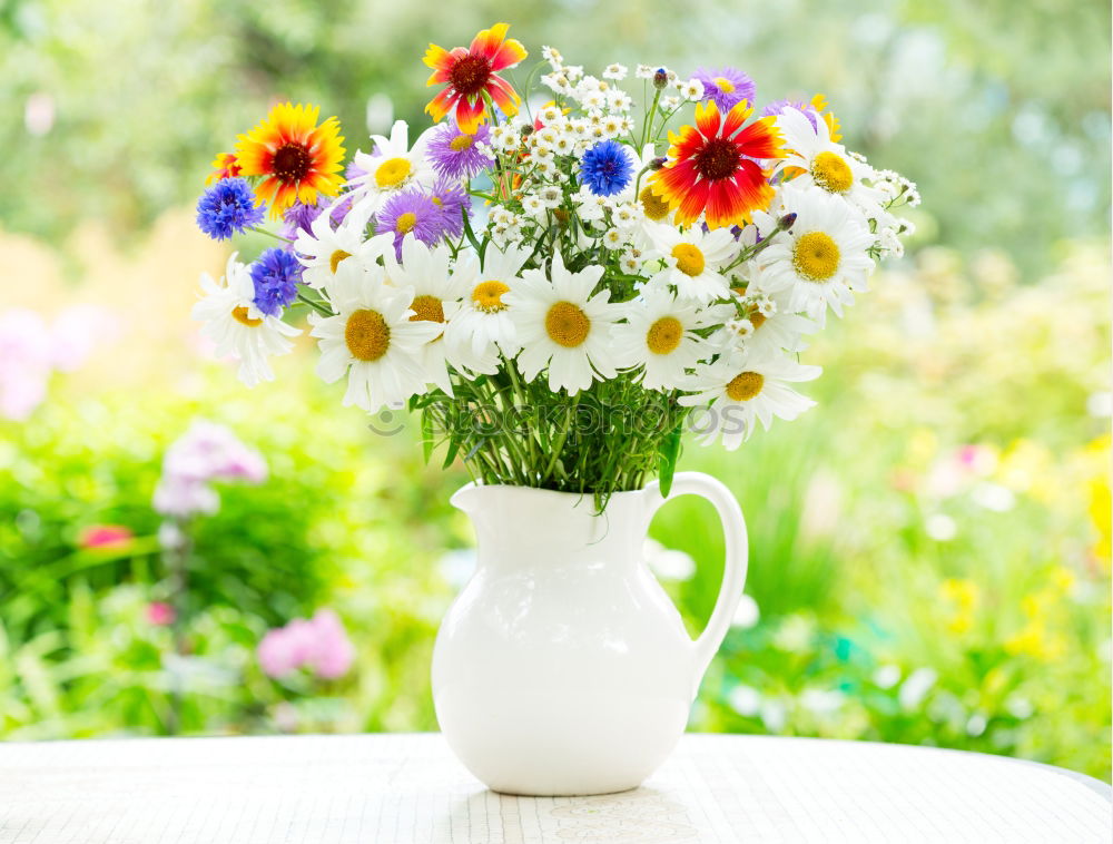 Similar – Old watering can with garden flowers