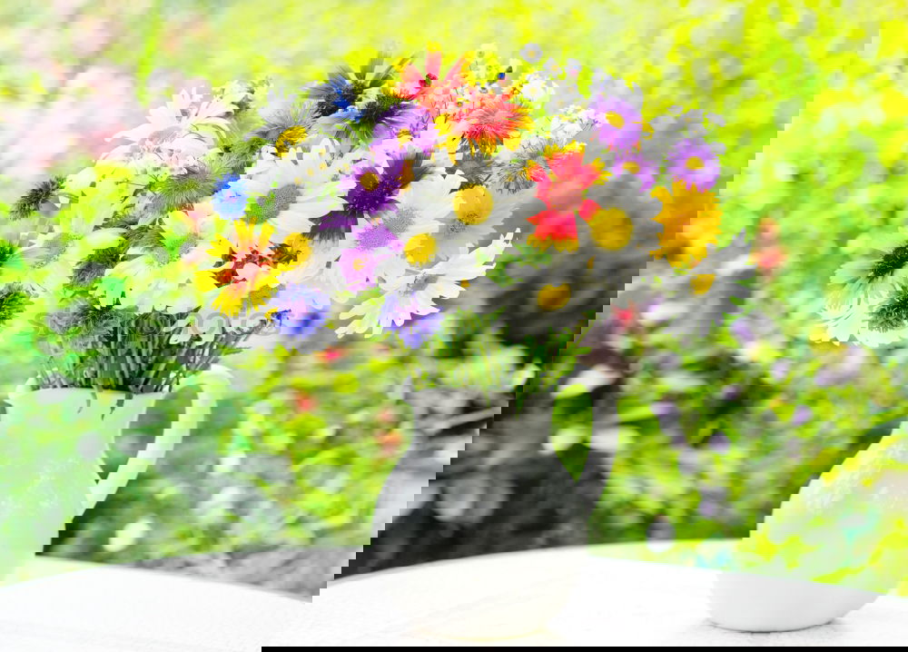 Image, Stock Photo Sunny bouquet of flowers in the garden