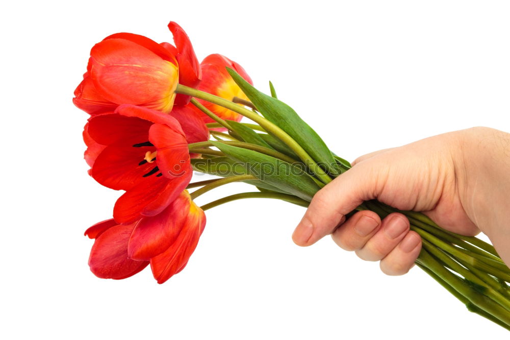 Similar – Woman hold bouquet of origami flowers