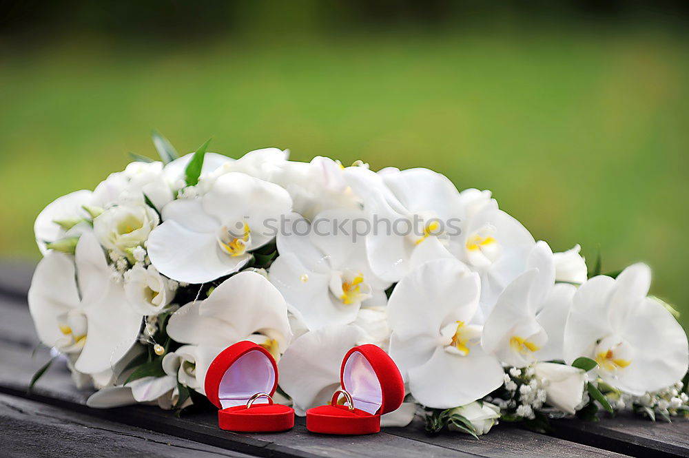 Similar – Image, Stock Photo wedding Wedding Bouquet