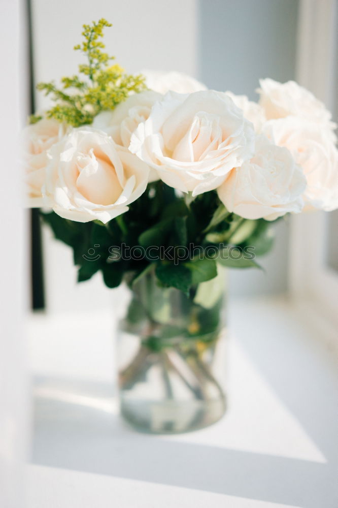 Similar – Female hand with roses bouquet of flowers