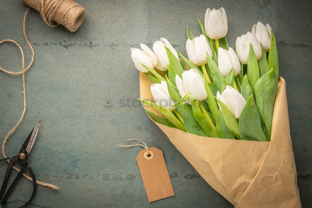 Similar – Bouquet of mixed flowers and a message card