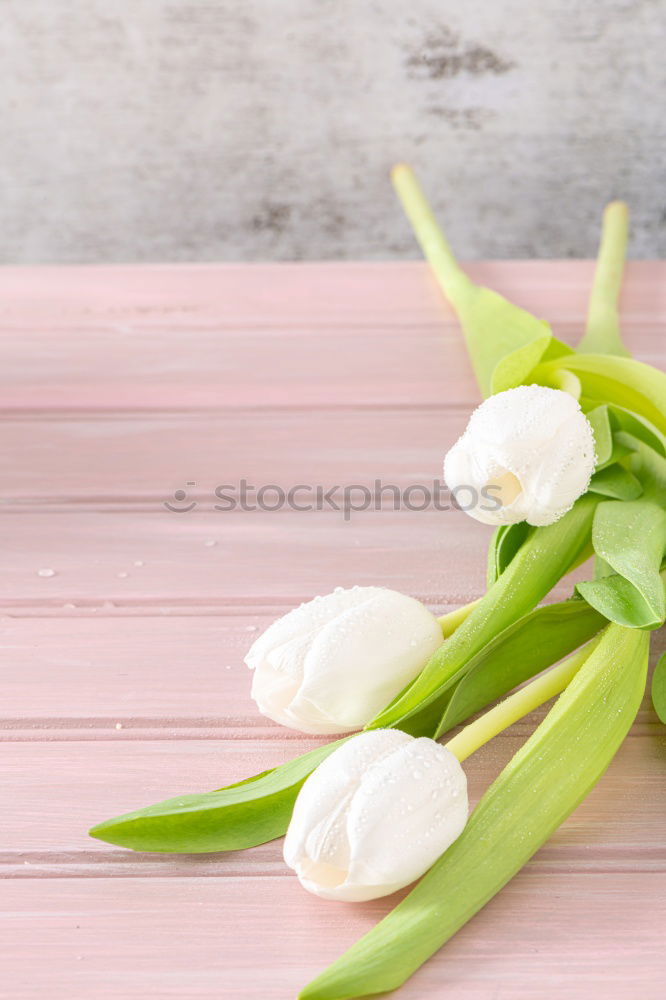 Image, Stock Photo love of flowers Plant