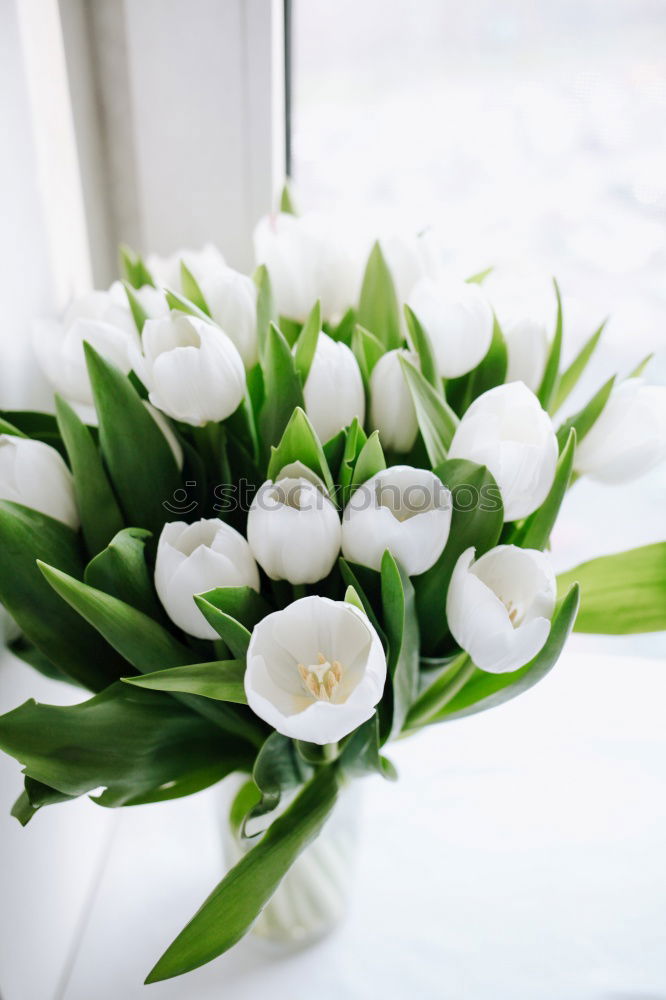 Similar – Spring Bouquet Easter Greeting Tulips