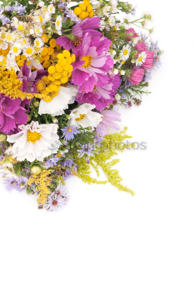 Similar – Bouquet with card Elegant