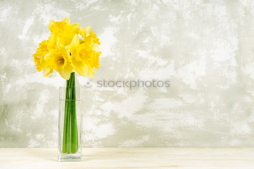 Similar – Image, Stock Photo No. IV Lifestyle Easter