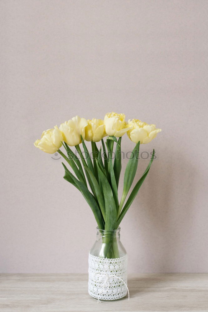 Similar – Foto Bild Tulpen Vase Blume