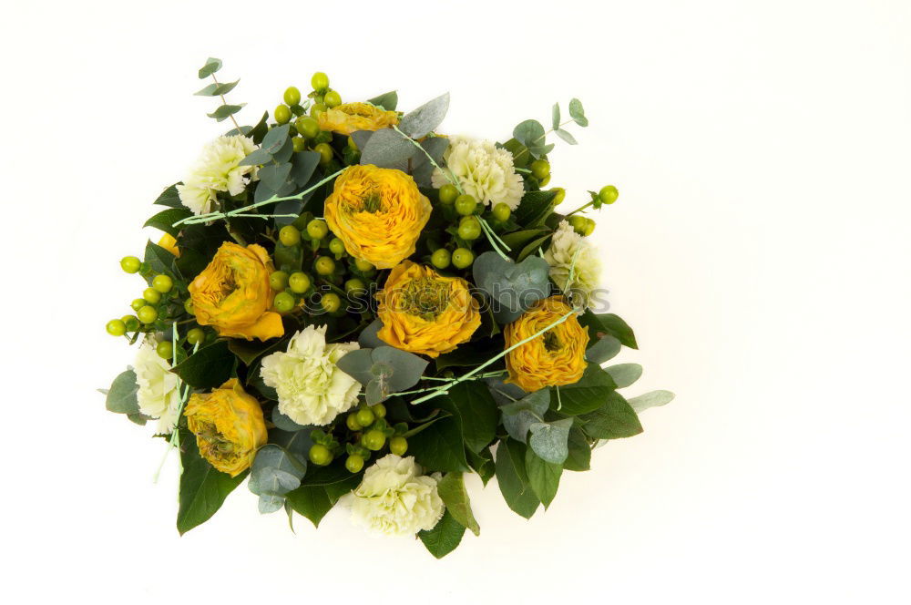 Similar – Image, Stock Photo welcome wreath Wreath