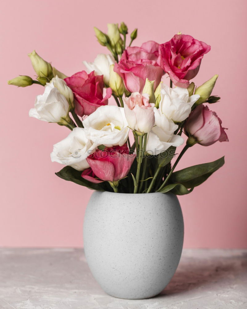 Similar – Hydrangeas pink one Nature