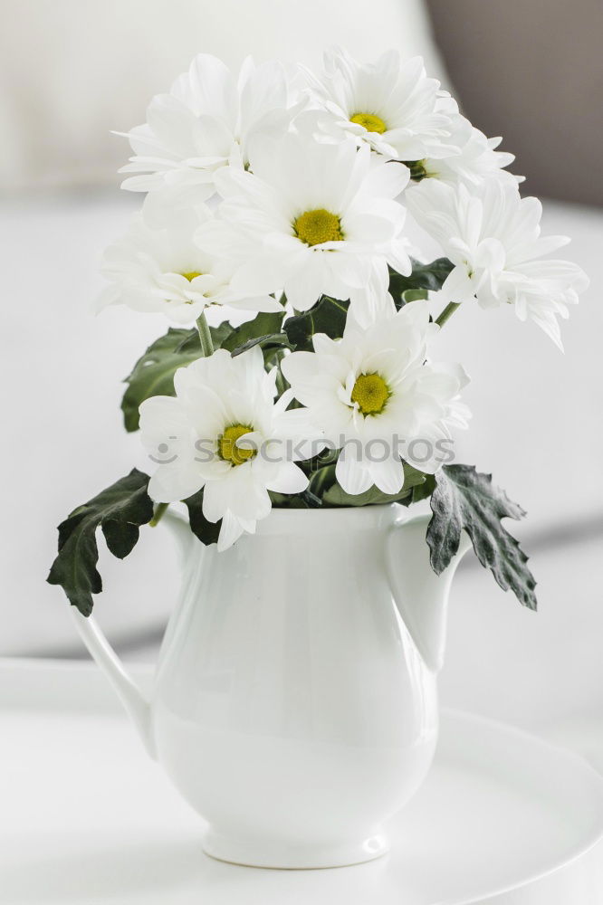 Similar – Image, Stock Photo little flowers Decoration