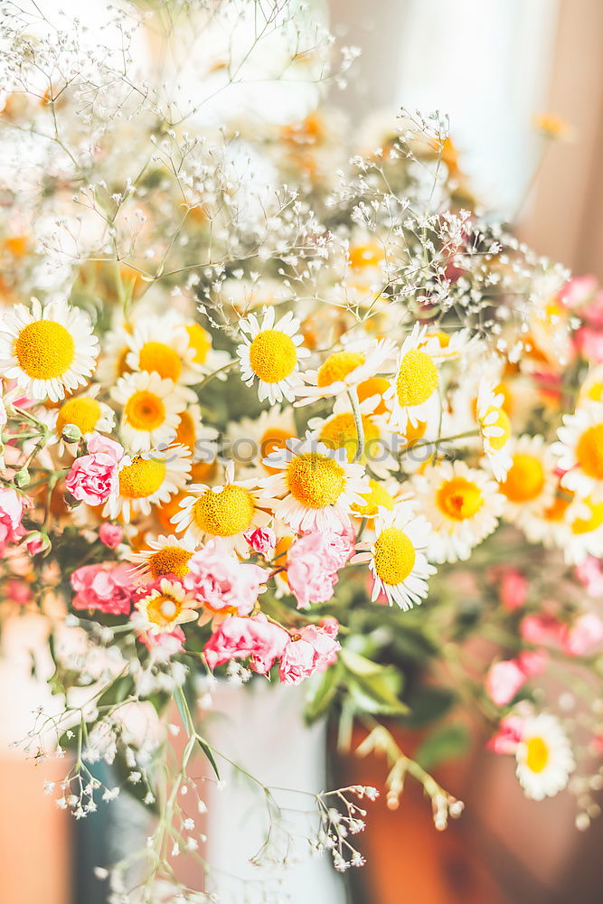 Bouquet with wild daisies