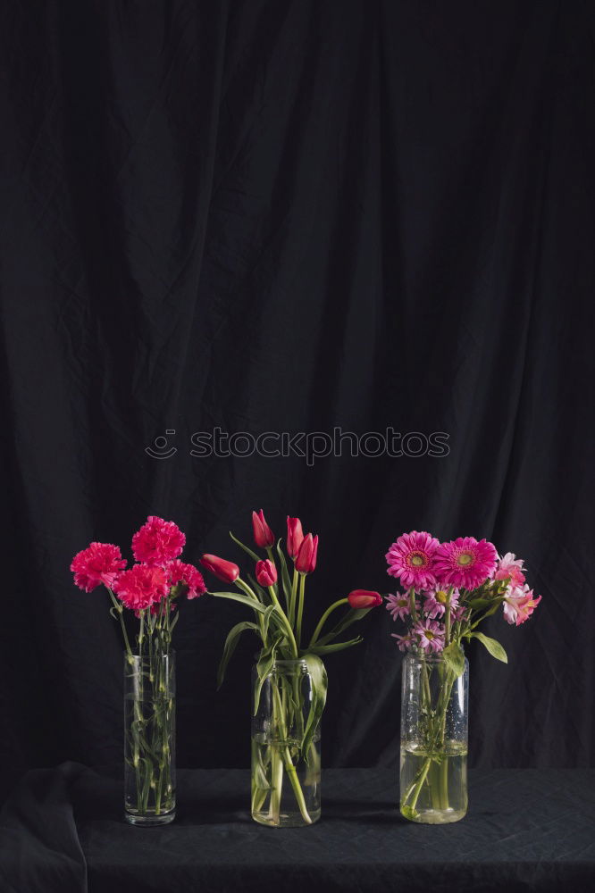 Similar – Image, Stock Photo SummerStill Lifestyle