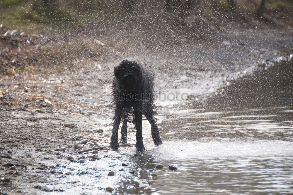 Similar – water features Playing