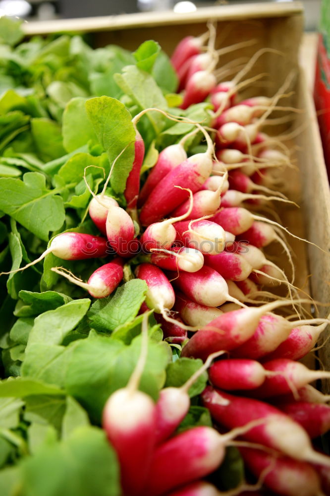 Similar – Image, Stock Photo rhubarb Rhubarb Red