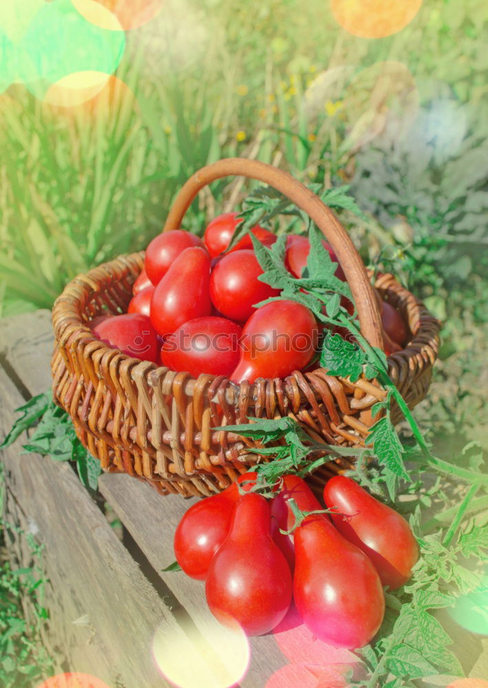 Similar – Image, Stock Photo old carrot Food Vegetable