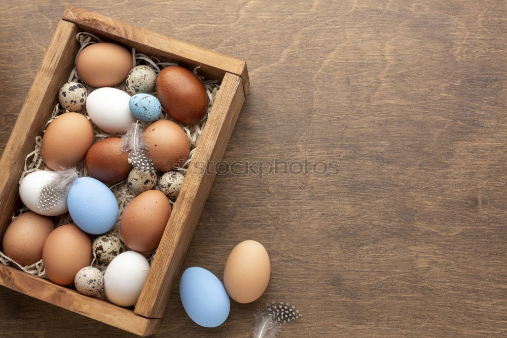 Similar – colorful Easter eggs next to natural brown chicken eggs