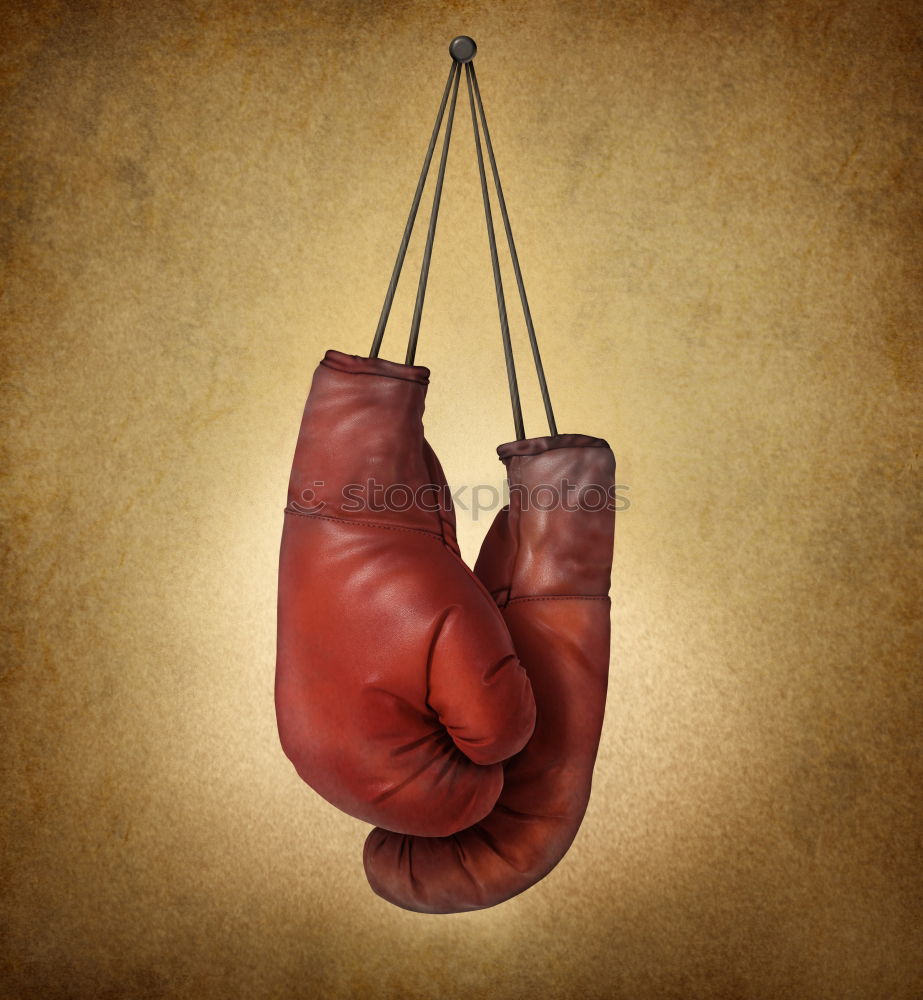 Similar – Image, Stock Photo pair of very old brown boxing gloves